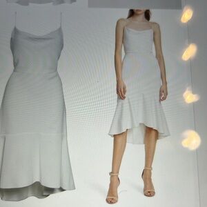 - Alice + Olivia Women's Adrina Cowlneck Midi dress.